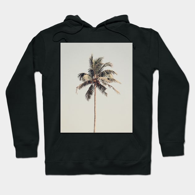 Palm tree by the beach Hoodie by beyondreason